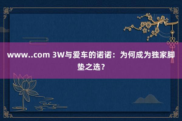 www..com 3W与爱车的诺诺：为何成为独家脚垫之选？