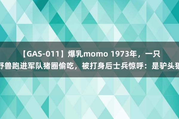 【GAS-011】爆乳momo 1973年，一只野兽跑进军队猪圈偷吃，被打身后士兵惊呼：是驴头狼