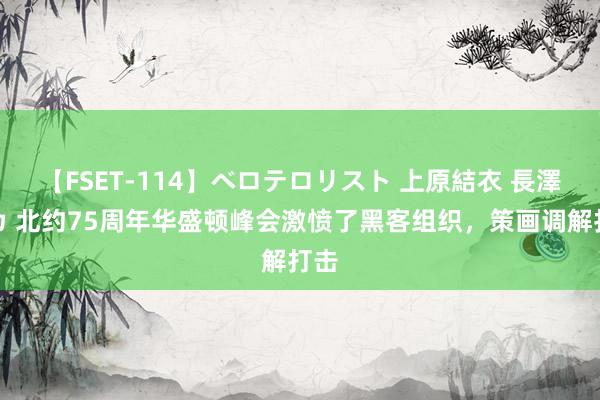 【FSET-114】ベロテロリスト 上原結衣 長澤リカ 北约75周年华盛顿峰会激愤了黑客组织，策画调解打击