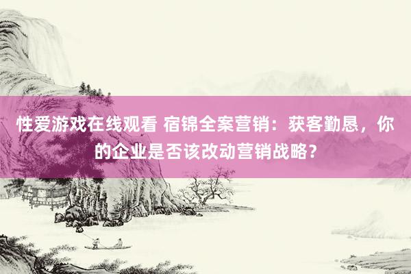 性爱游戏在线观看 宿锦全案营销：获客勤恳，你的企业是否该改动营销战略？