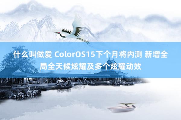 什么叫做爱 ColorOS15下个月将内测 新增全局全天候炫耀及多个炫耀动效