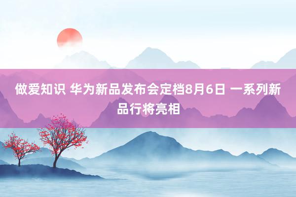 做爱知识 华为新品发布会定档8月6日 一系列新品行将亮相