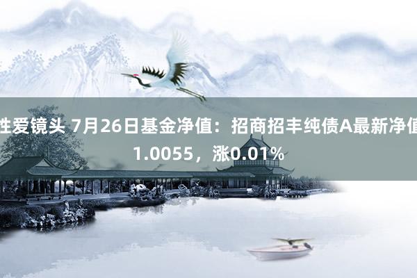 性爱镜头 7月26日基金净值：招商招丰纯债A最新净值1.0055，涨0.01%