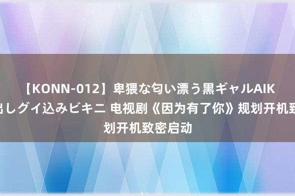 【KONN-012】卑猥な匂い漂う黒ギャルAIKAの中出しグイ込みビキニ 电视剧《因为有了你》规划开机致密启动