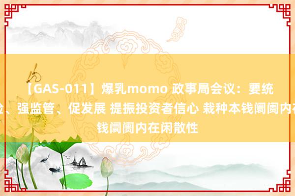 【GAS-011】爆乳momo 政事局会议：要统筹防风险、强监管、促发展 提振投资者信心 栽种本钱阛阓内在闲散性