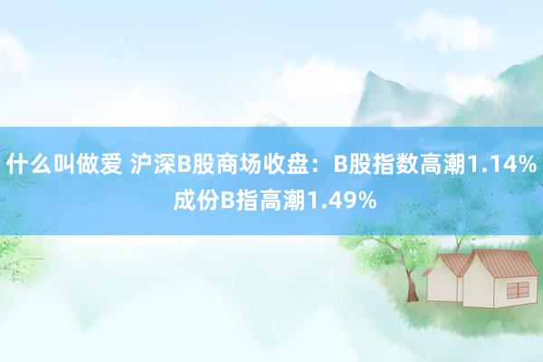 什么叫做爱 沪深B股商场收盘：B股指数高潮1.14% 成份B指高潮1.49%