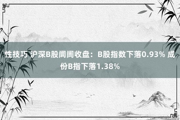 性技巧 沪深B股阛阓收盘：B股指数下落0.93% 成份B指下落1.38%