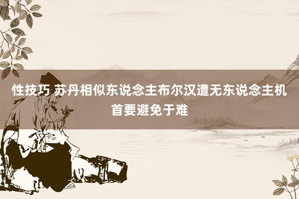 性技巧 苏丹相似东说念主布尔汉遭无东说念主机首要避免于难