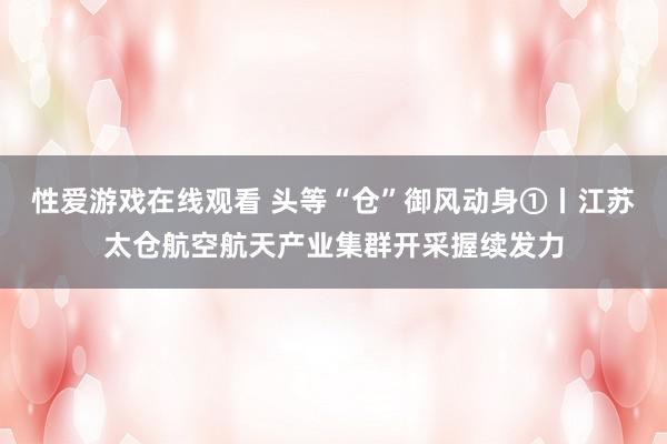 性爱游戏在线观看 头等“仓”御风动身①丨江苏太仓航空航天产业集群开采握续发力