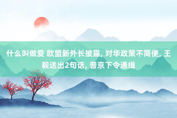 什么叫做爱 欧盟新外长披露, 对华政策不简便, 王毅送出2句话, 普京下令通缉