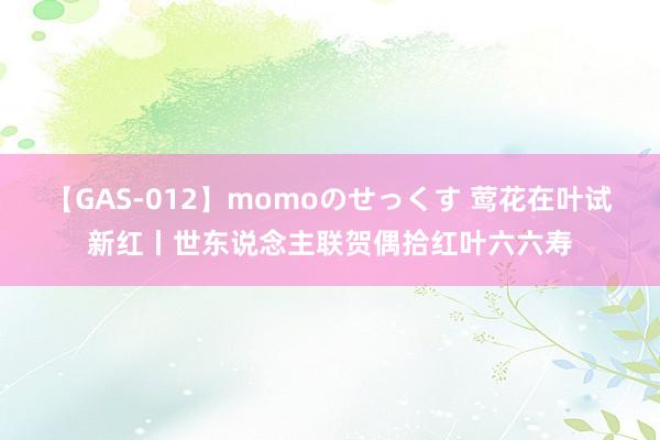 【GAS-012】momoのせっくす 莺花在叶试新红丨世东说念主联贺偶拾红叶六六寿