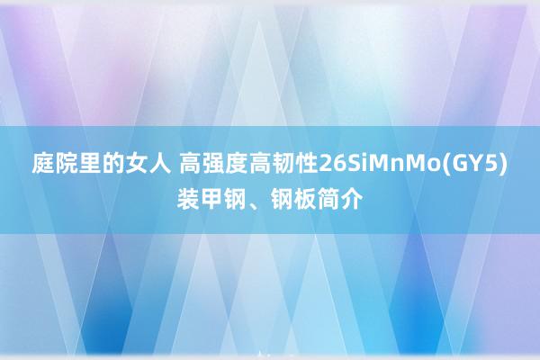 庭院里的女人 高强度高韧性26SiMnMo(GY5)装甲钢、钢板简介