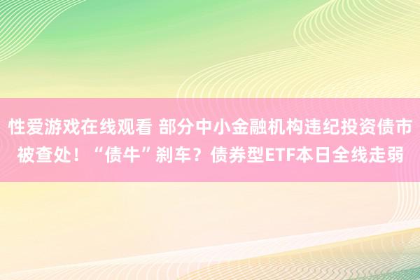 性爱游戏在线观看 部分中小金融机构违纪投资债市被查处！“债牛”刹车？债券型ETF本日全线走弱