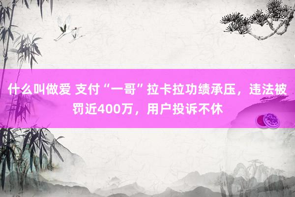 什么叫做爱 支付“一哥”拉卡拉功绩承压，违法被罚近400万，用户投诉不休