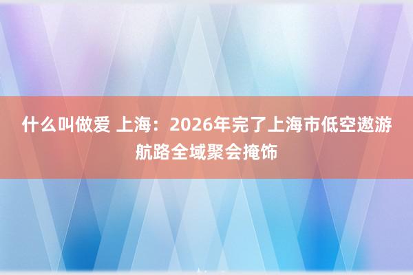 什么叫做爱 上海：2026年完了上海市低空遨游航路全域聚会掩饰