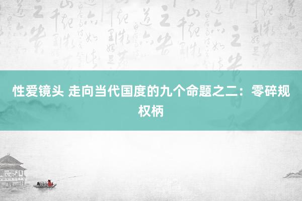 性爱镜头 走向当代国度的九个命题之二：零碎规权柄