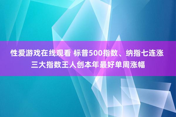 性爱游戏在线观看 标普500指数、纳指七连涨 三大指数王人创本年最好单周涨幅