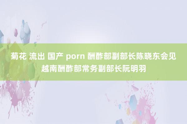 菊花 流出 国产 porn 酬酢部副部长陈晓东会见越南酬酢部常务副部长阮明羽