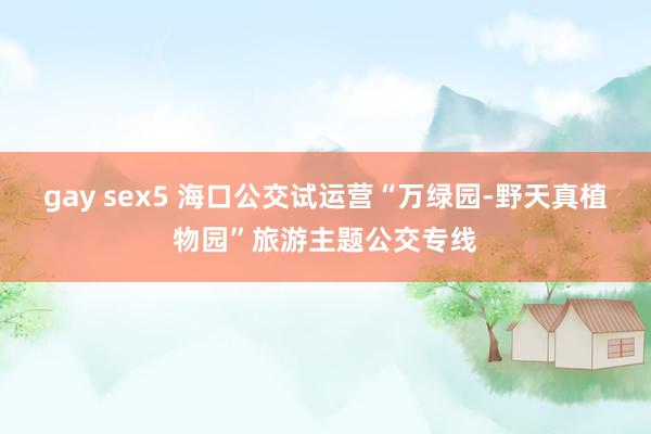 gay sex5 海口公交试运营“万绿园-野天真植物园”旅游主题公交专线