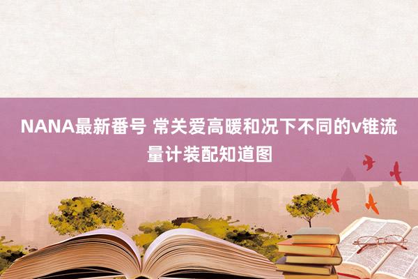 NANA最新番号 常关爱高暖和况下不同的v锥流量计装配知道图