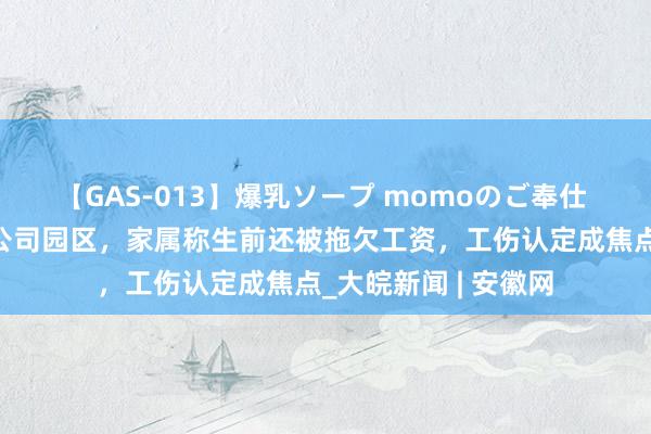 【GAS-013】爆乳ソープ momoのご奉仕 职工放工后暴毙在公司园区，家属称生前还被拖欠工资，工伤认定成焦点_大皖新闻 | 安徽网